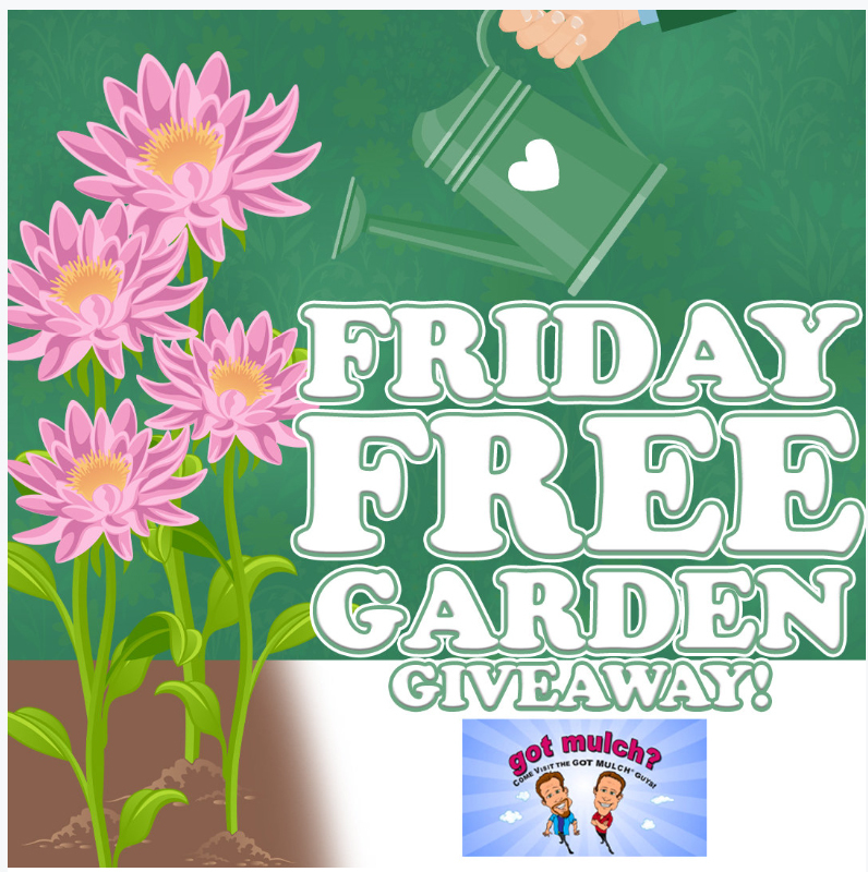 contest graphic2